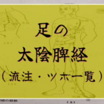 【足の太陰脾経】経絡・絡脈・経別・経筋まとめ（流注、循行、経穴一覧など）