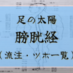 【足の太陽膀胱経】経絡・絡脈・経別・経筋まとめ（流注、循行、経穴一覧など）