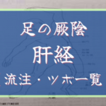 【足の厥陰肝経】経絡・絡脈・経別・経筋まとめ（流注、循行、経穴一覧など）