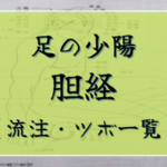 【足の少陽胆経】経絡・絡脈・経別・経筋まとめ（流注、循行、経穴一覧など）
